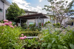Garden flowers, undercover area and Parkview aged care building